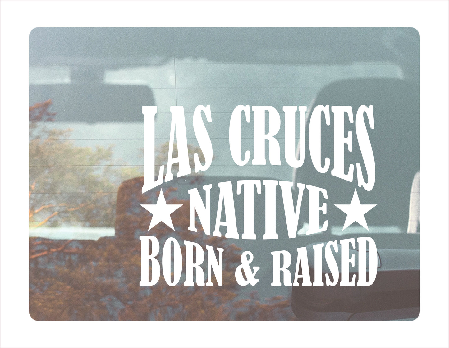 Las Cruces Native Born Raised New Mexico City USA Decal