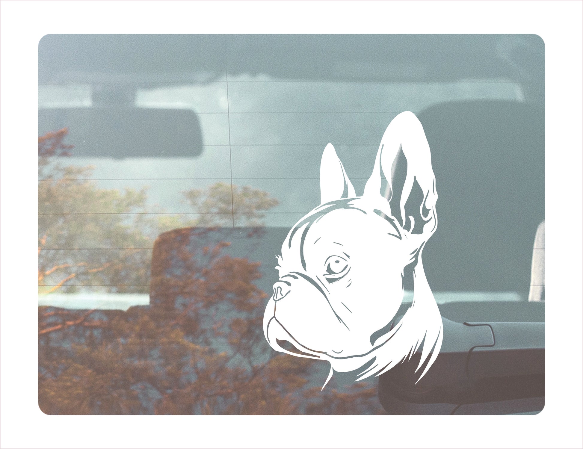 Boston terrier car White Vinyl Decal Sticker