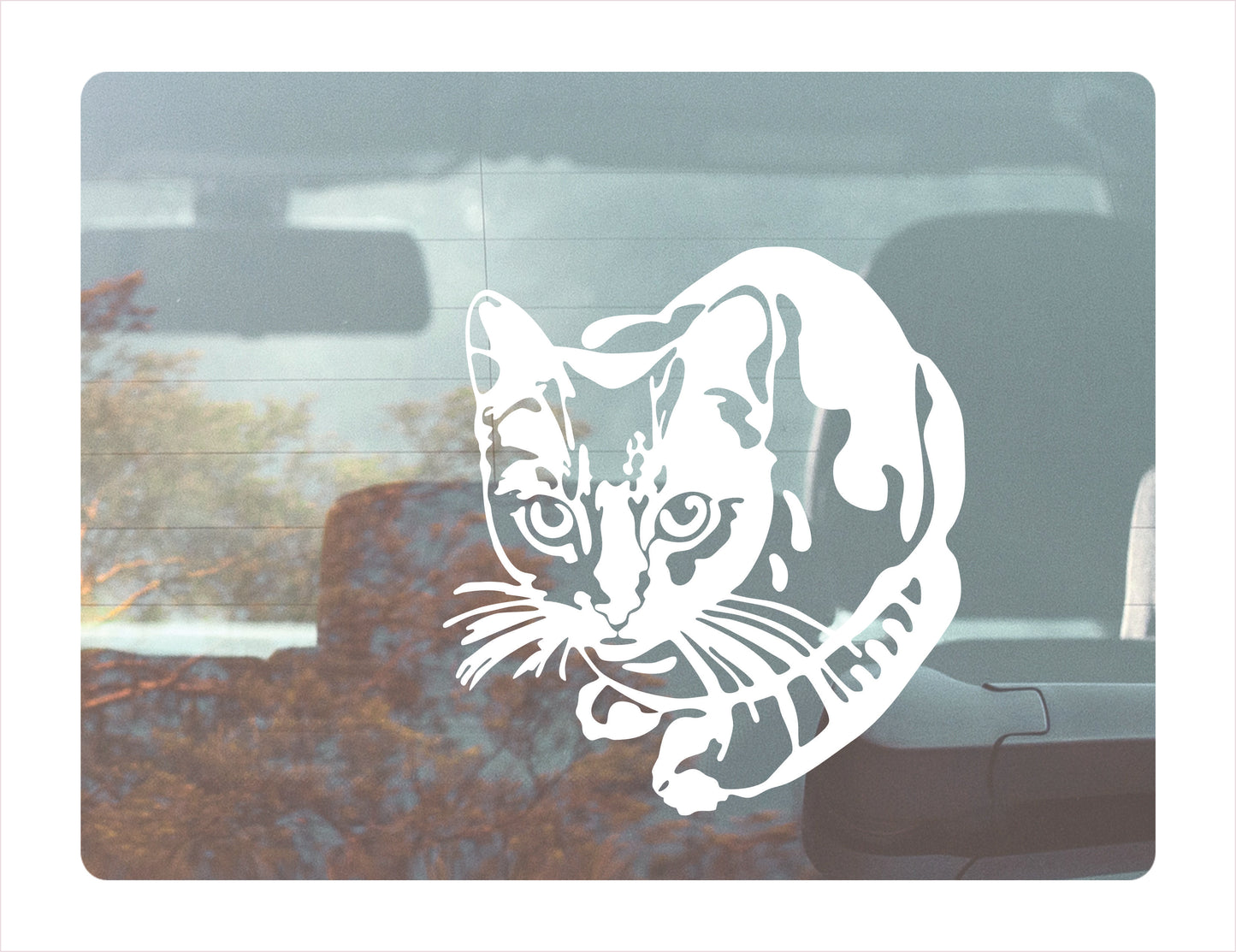 Cute Cat seated peeking Vinyl Decal Sticker FREE shipping