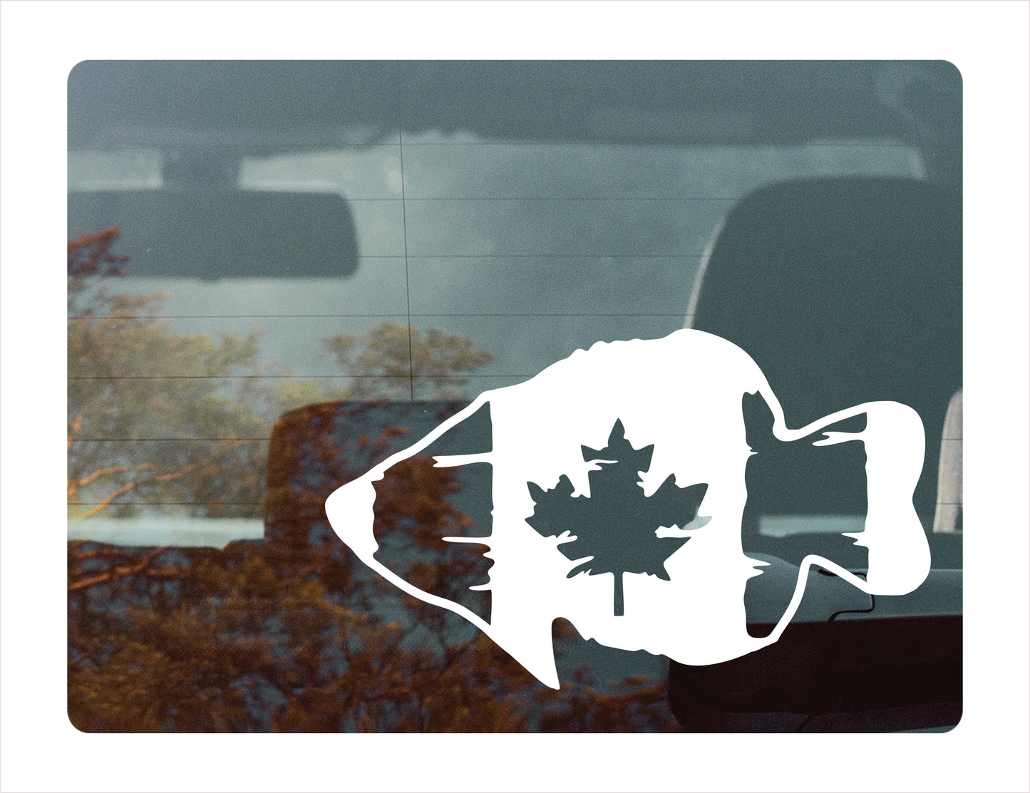 Canada Fish Flag Decal Sticker - FREE shipping