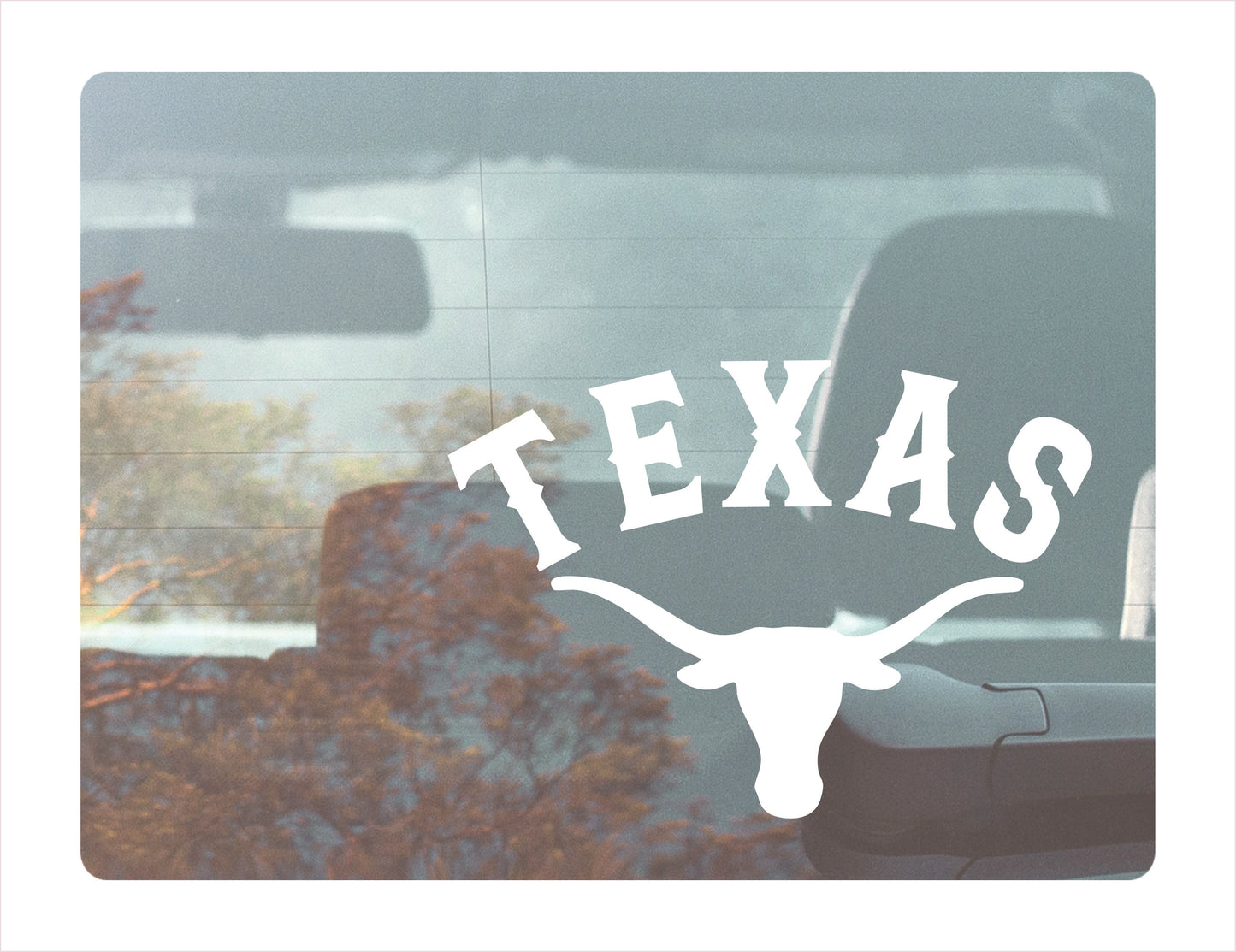 Texas Decal Sticker - FREE shipping