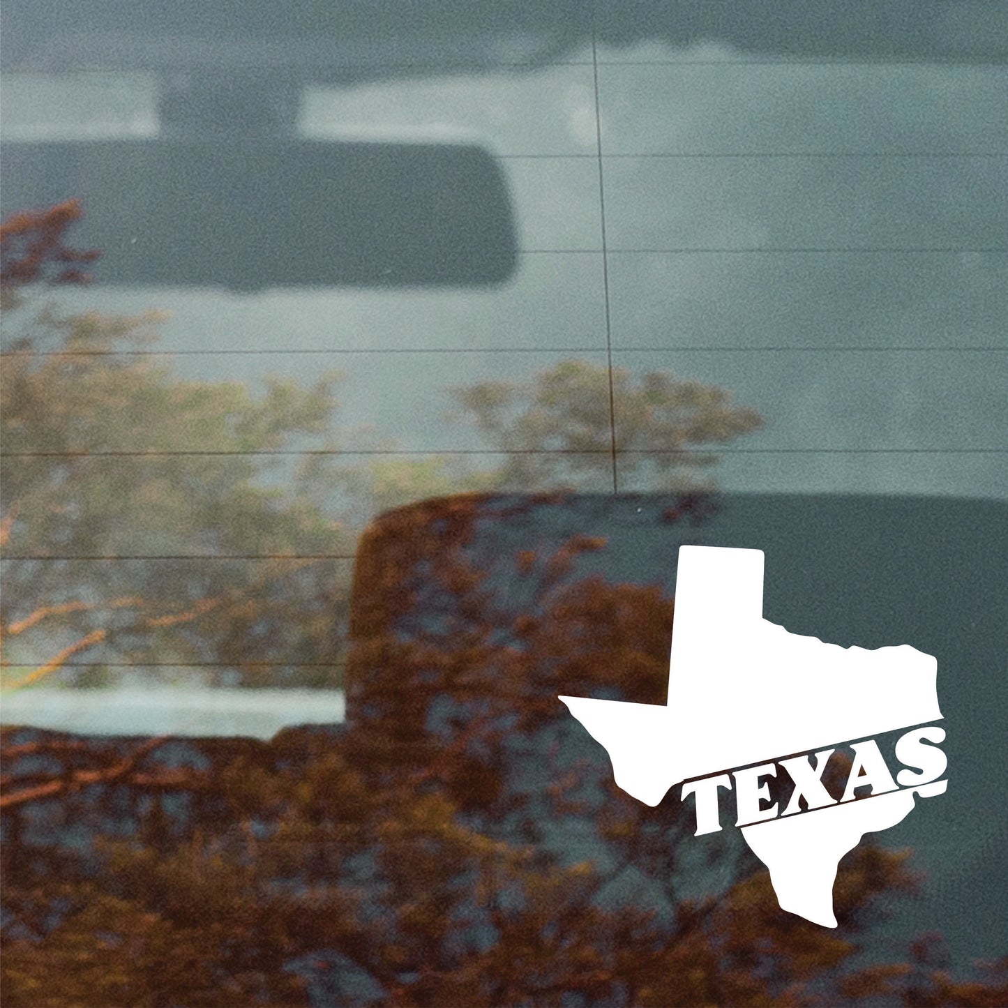Texas State Decal Sticker - FREE shipping