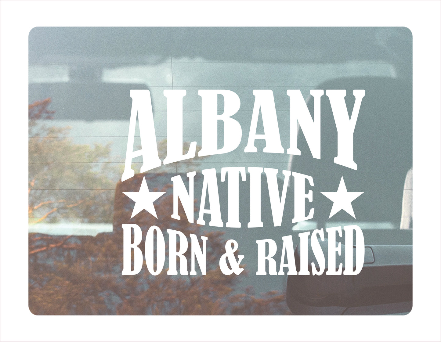 Albany Native Born Raised New york USA White Decal Sticker