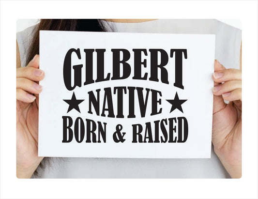 Gilbert native born raised Arizona city Usa black decal sticker