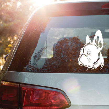 Boston terrier car decal, boston terrier gifts, vinyl decals