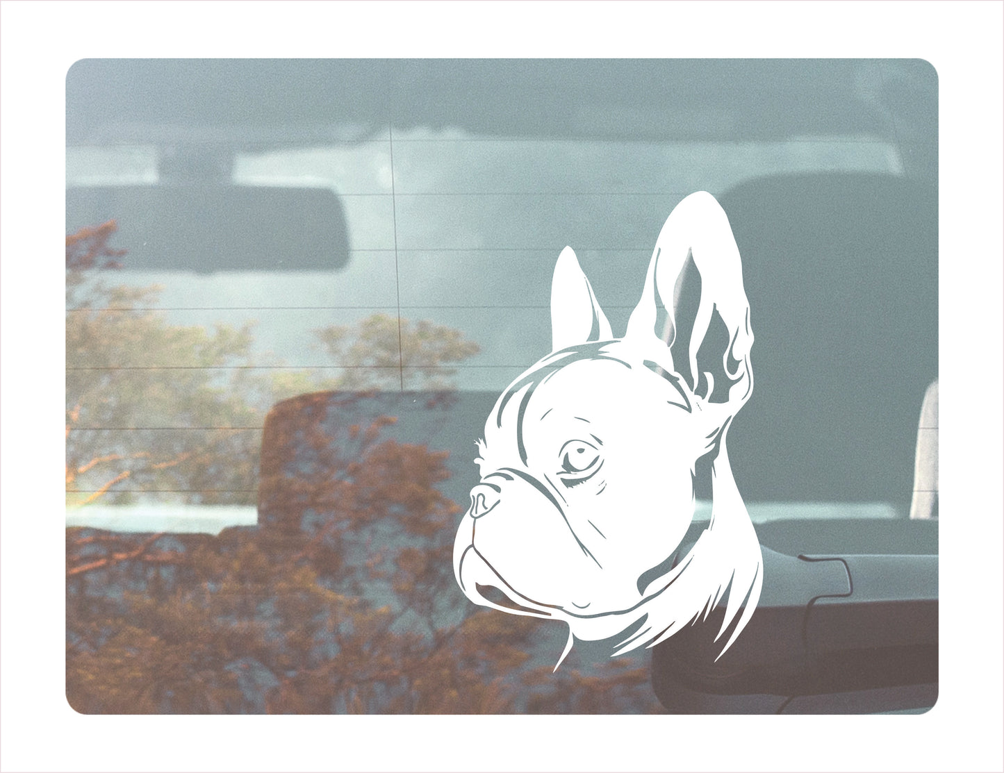 Boston terrier car decal, boston terrier gifts, vinyl decals FREE shipping