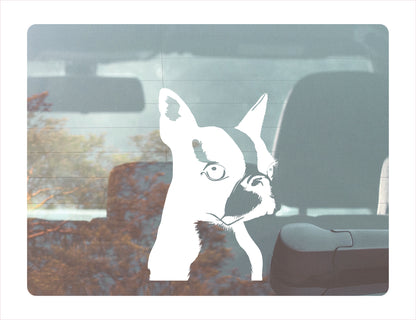 BOSTON TERRIER DOG Vinyl Decal Sticker FREE shipping
