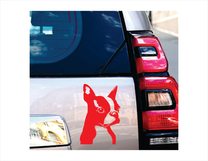 BOSTON TERRIER DOG Vinyl Decal Sticker FREE shipping