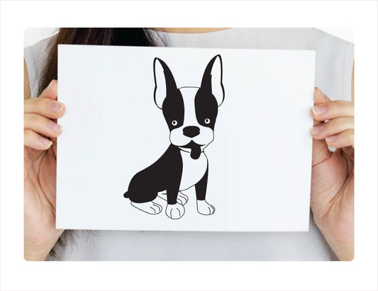 BOSTON TERRIER DOG full body Vinyl Decal Sticker FREE shipping