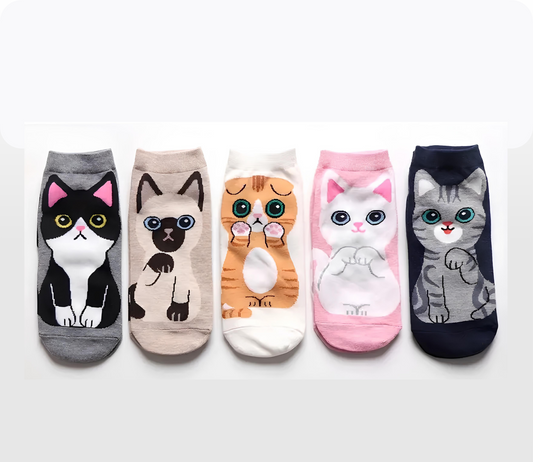 pack of 5 women ankle socks with different cute cats designs