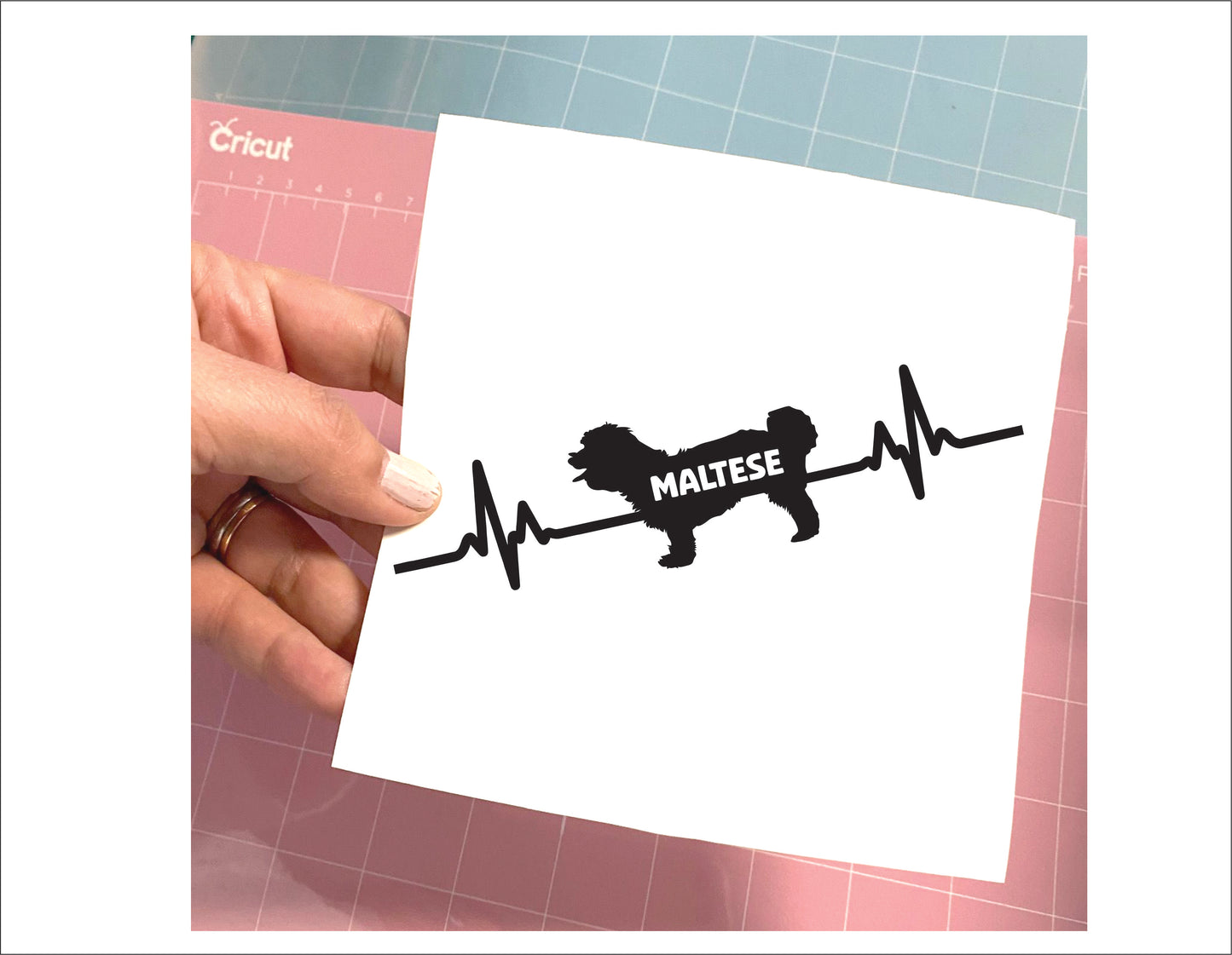 Maltese Dog Decal Sticker - FREE shipping