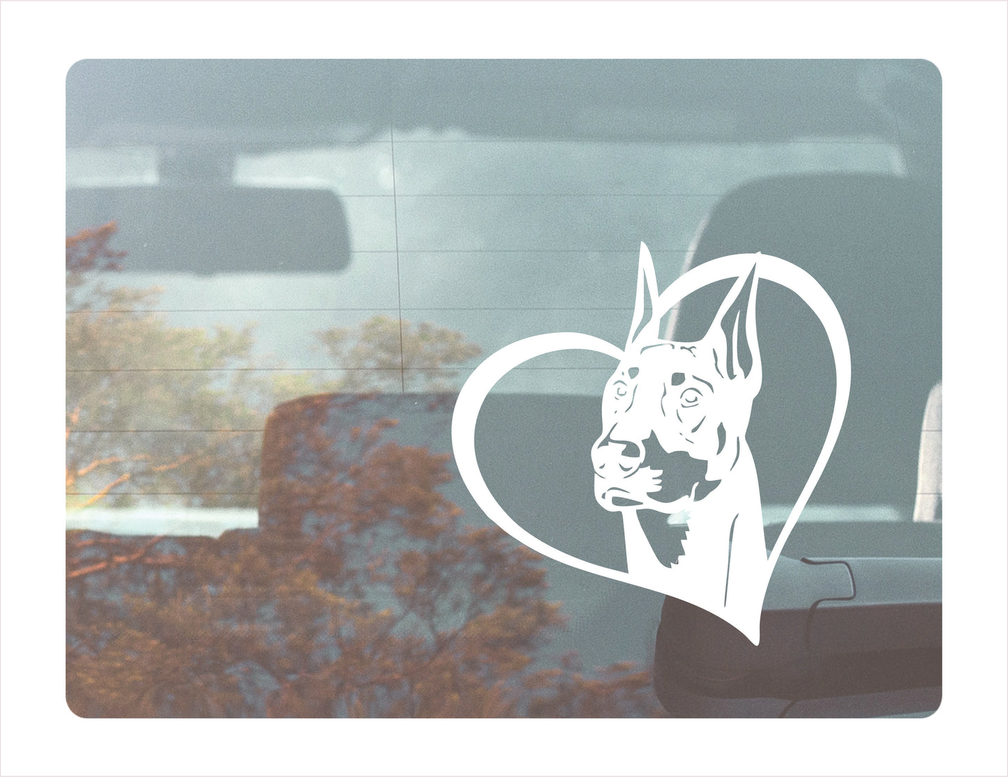 Doberman Dog Heart White Decal Sticker