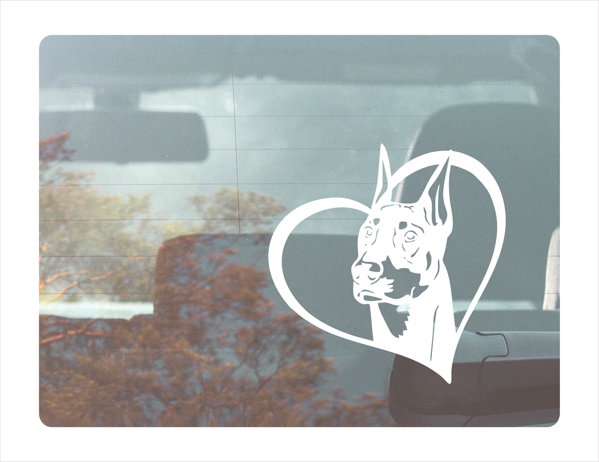 Doberman Dog Heart White Decal Sticker