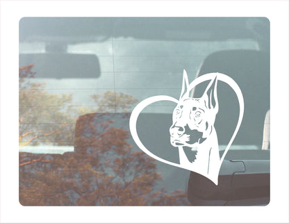 Doberman Dog Heart White Decal Sticker