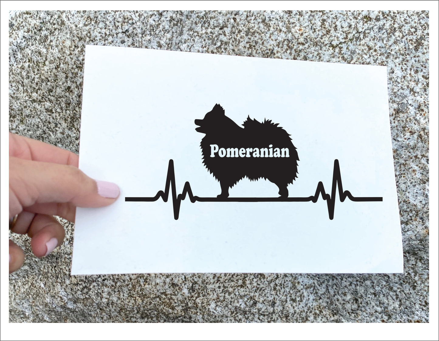 Pomeranian Dog Decal Sticker - FREE shipping