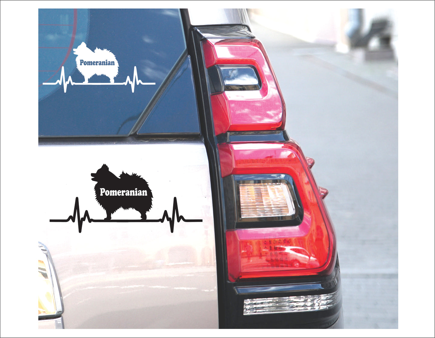 Pomeranian Dog Decal Sticker - FREE shipping