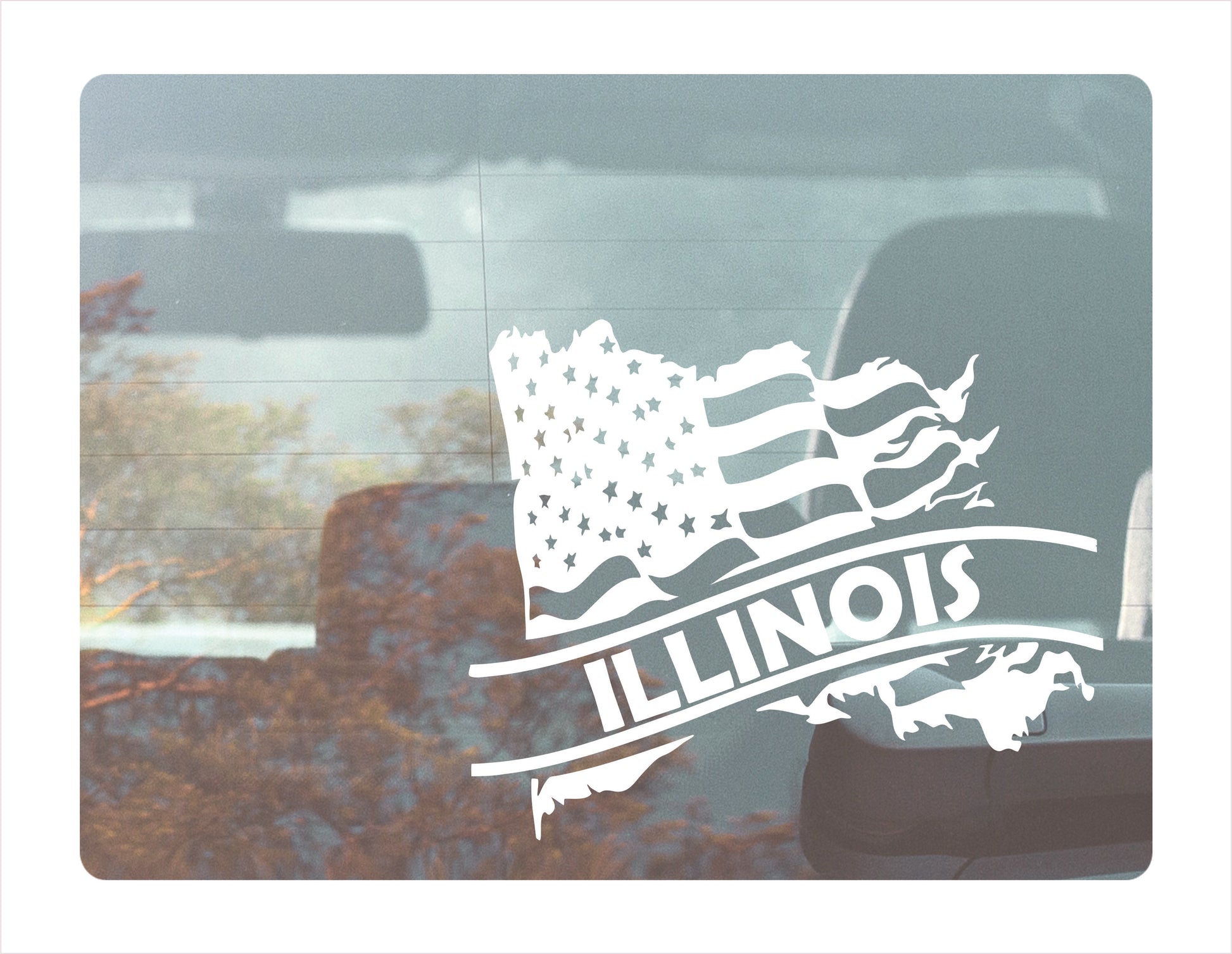 Illinois State Usa Decal Sticker