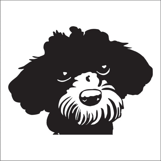 Cute poodle dog peeking Vinyl Decal Sticker