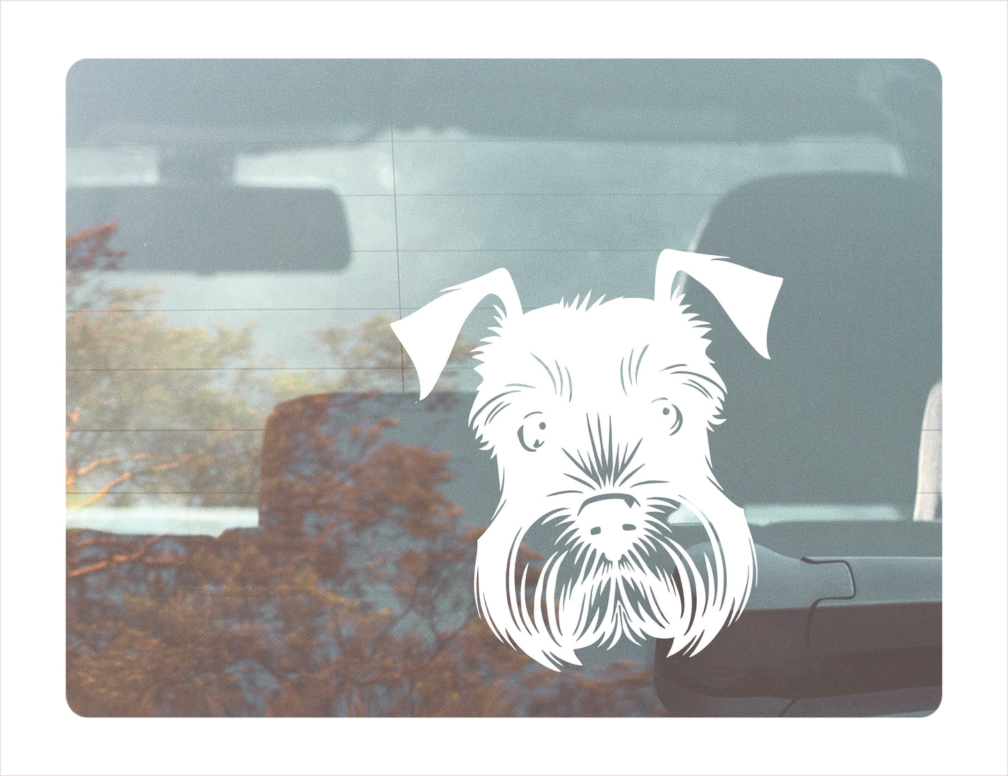 SHNAUZER DOG face peeking Vinyl Decal Sticker FREE shipping