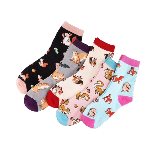 pack of 5 women socks with different squirrel designs