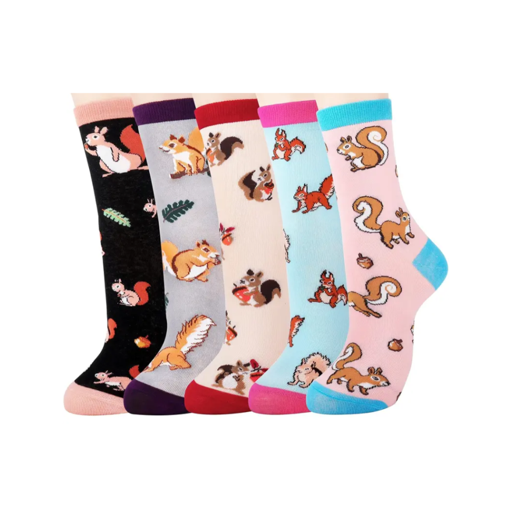 pack of 5 women socks with different squirrel designs