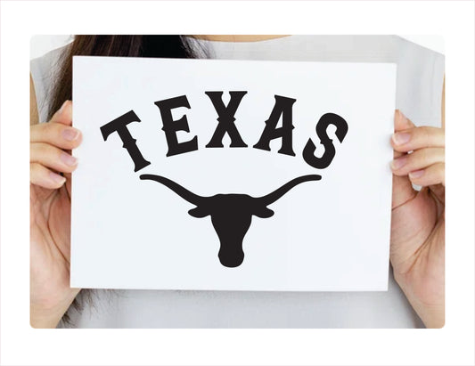 Texas Decal Sticker - FREE shipping