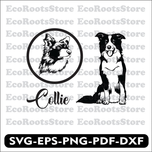 Collie Dog SVG EPS PNG PDF DXF Cutting File